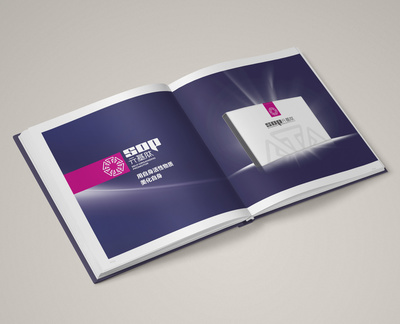 畫冊排版設計 元基企業(yè)房地產(chǎn)信息咨詢的品牌展示藝術(shù)