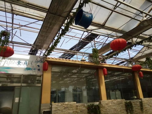 光伏溫室頂棚材料升級 透明陽光板替換塑料板，抗紫外線防冰雹更劃算