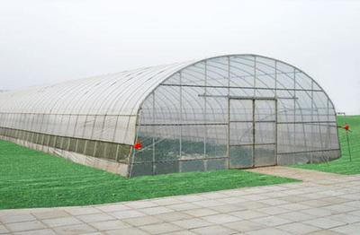 山東單拱溫室大棚造價